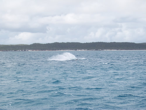 splash
